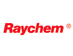  RAYCHEM - Site Director 